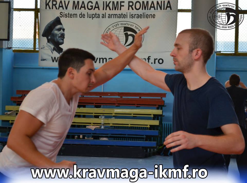 Bar fight seminar Budapesta